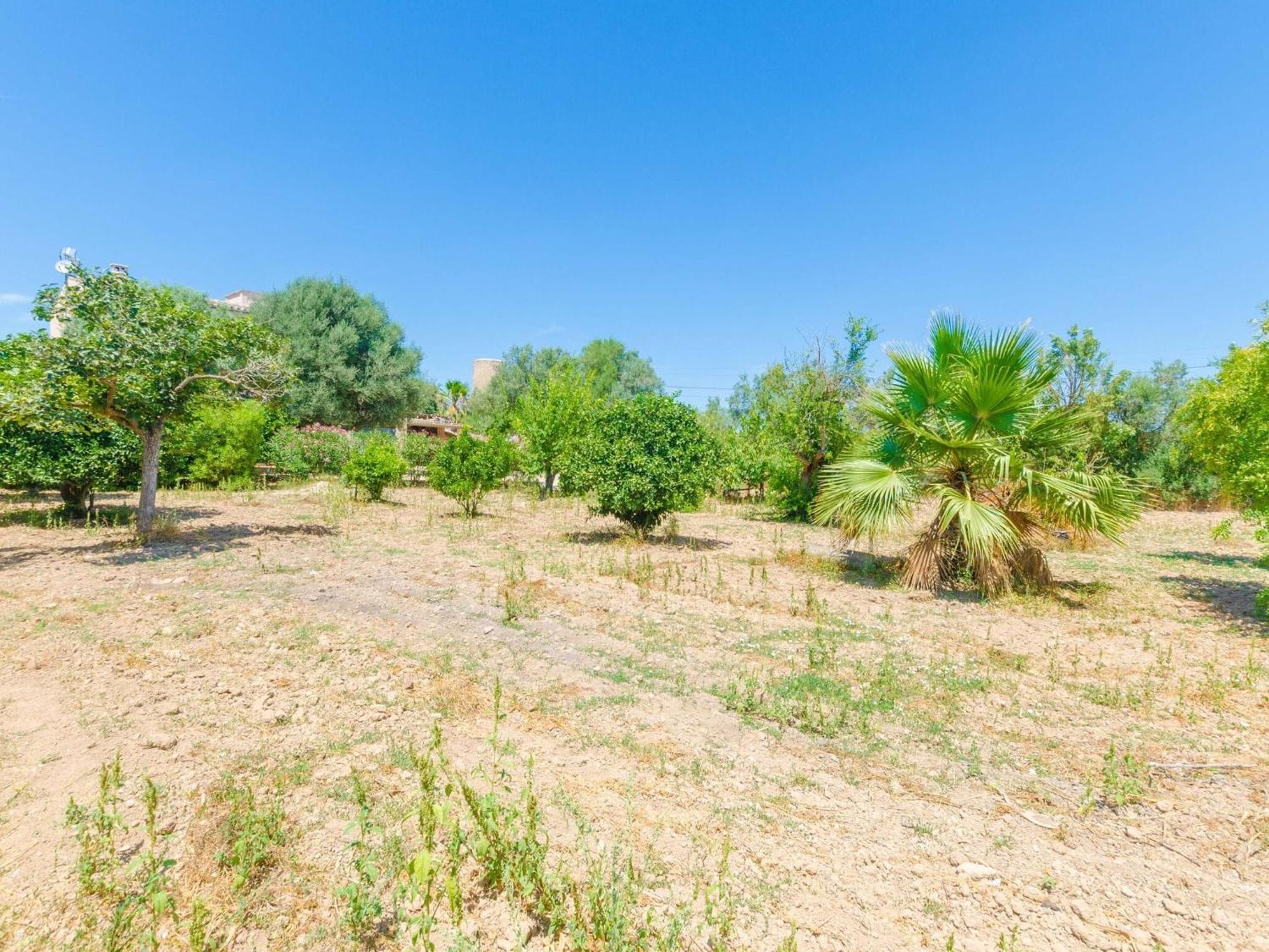 Hort De Bou - With Private Pool